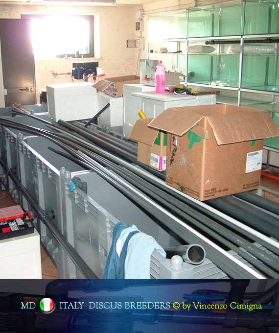 tubi vasche di discus