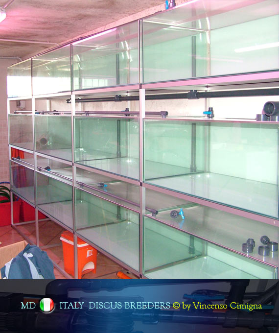 le vasche dei discus