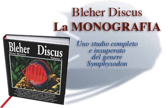 Bleher discus primo volume