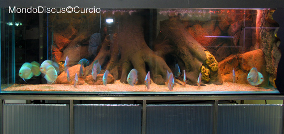 vasca Cristian Roncato