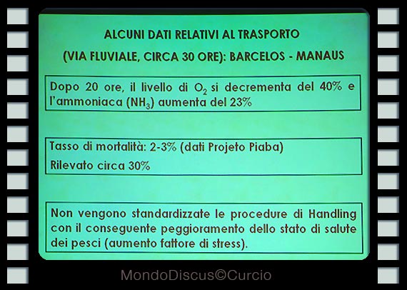 L'intervista: Pierluigi Monticini stabulazione e tempi di pesca