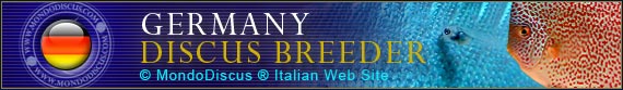 discus world breeder germany