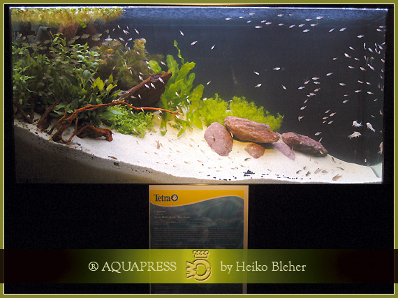 Brasile - Rio das Mortes