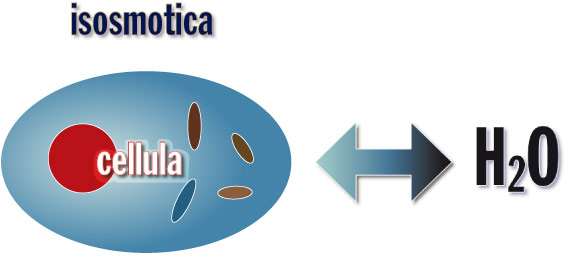 I discus e la pressione isosmostica