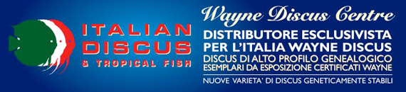 MondoDiscus.com, il Portale dei Discus