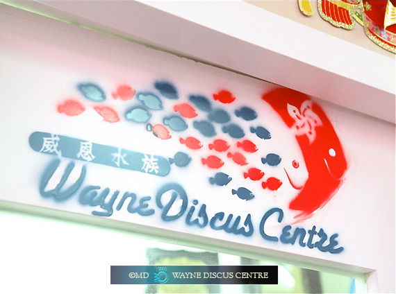 The new Brand of Wayne Discus Centre
