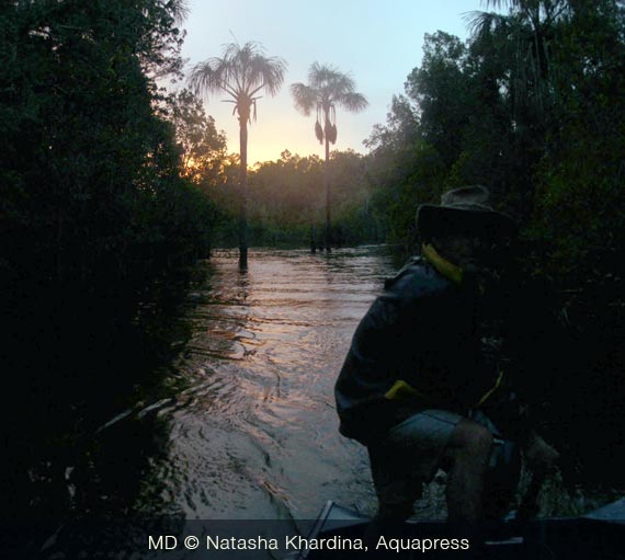 Il tramonto in Ig. Malixi, dove abbiamo passato la giornata facendo snorkeling in acqua fantastica cristallina, catturando i pesci ed osservando i caracidi, ciclidi e piranha sott´acqua, anche si pioveva tutto il tempo, ma in acqua il freddo no si sentiva.