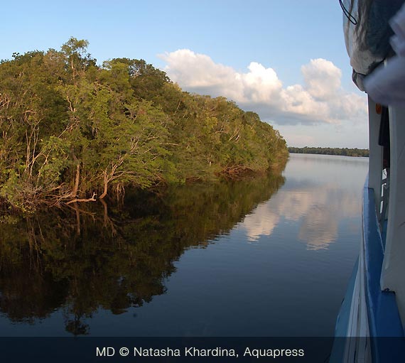 Il Rio Aracà in Brasile