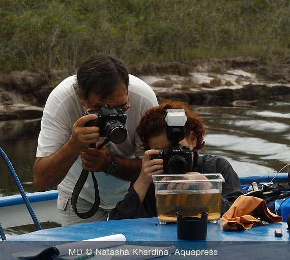 Angel e Natasha fotografando i pesci catturati