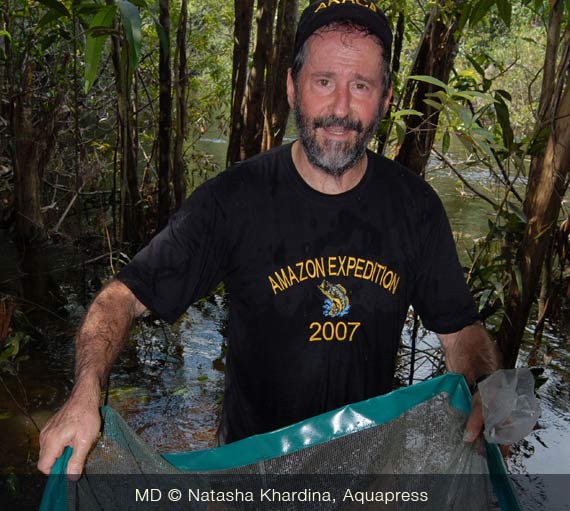 Heiko nel biotopo del neon rosso, Igarapé Sauvaudaua.