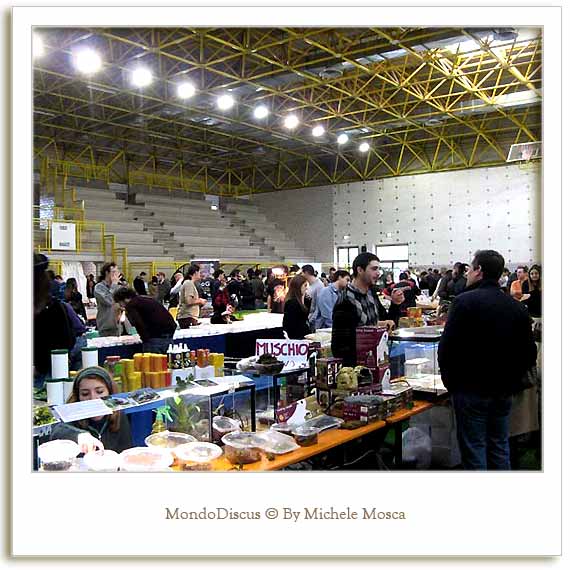 Un fotogramma della Mostra Esotica 2008 a Perugia