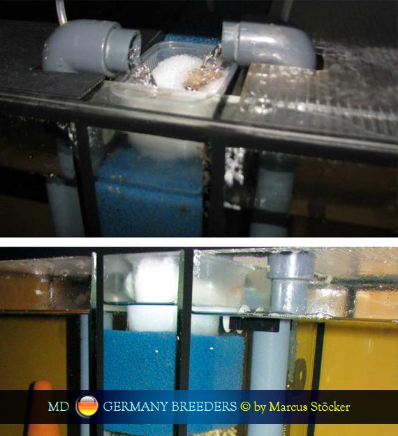 L'intervista: Marcus Stöcker su MondoDiscus