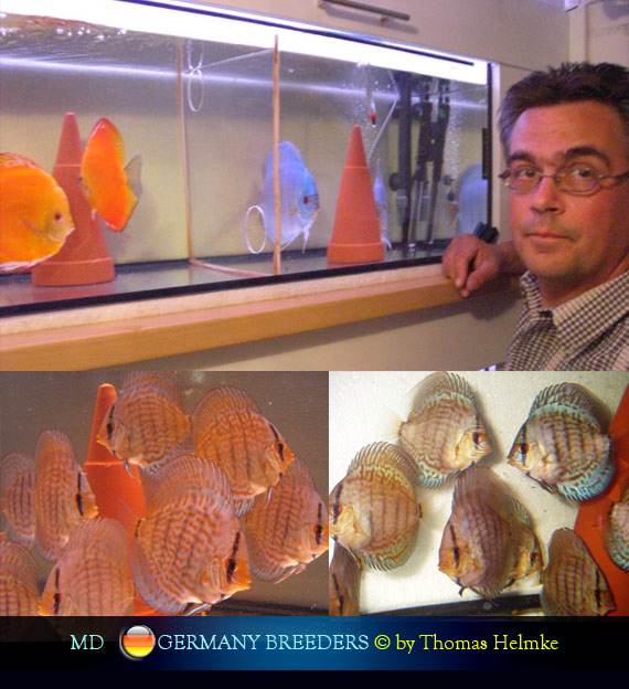 L'intervista: Thomas Helmke su MondoDiscus