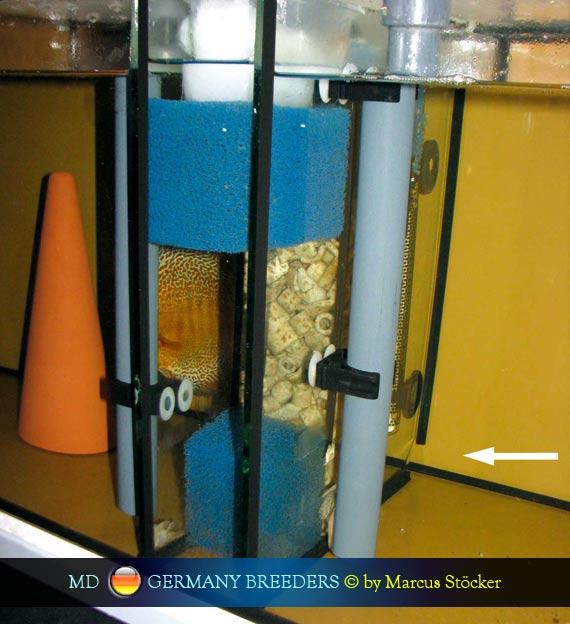 L'intervista: Marcus Stöcker su MondoDiscus