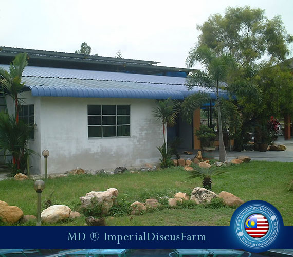 l'esterno della IDfarm