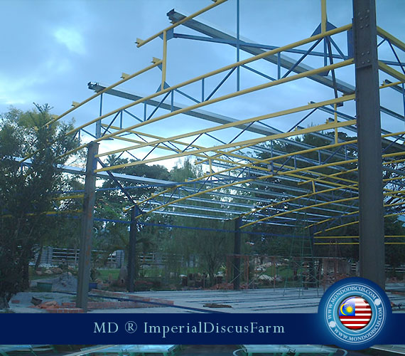 l'edificio in costruzione