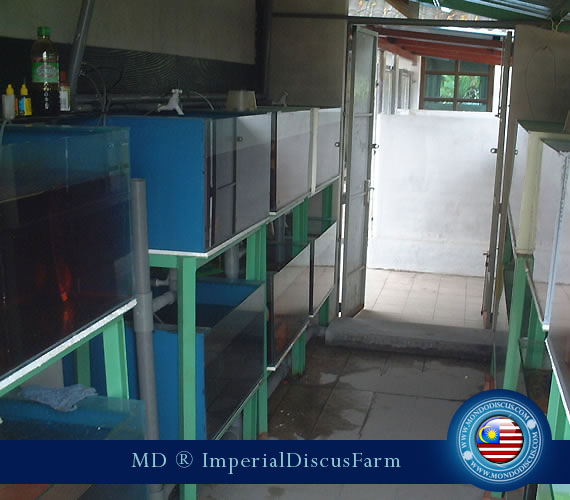 La stanza della quarantena