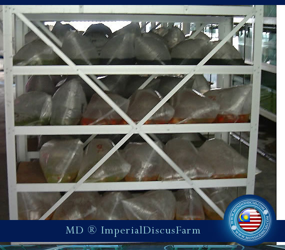 il reparto delle spedizioni