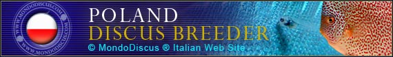 discus world breeder Poland