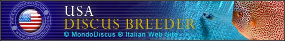discus world breeder USA