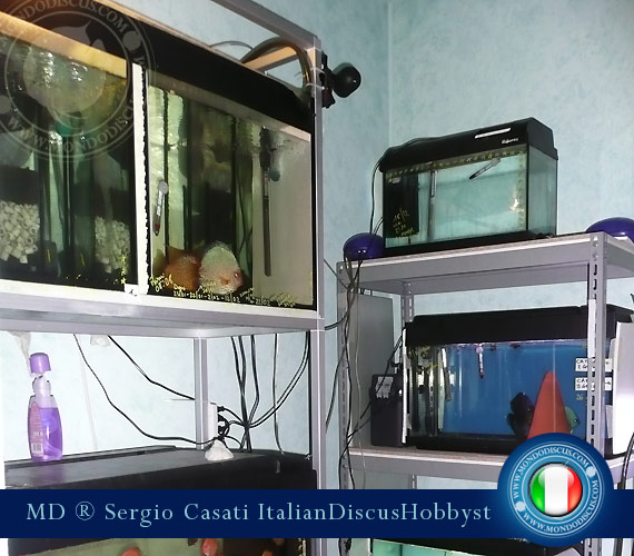 L'intervista: Sergio Casati su MondoDiscus