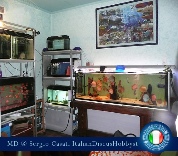 L'intervista: Sergio Casati su MondoDiscus