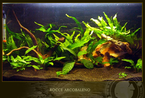 roccia arcobaleno