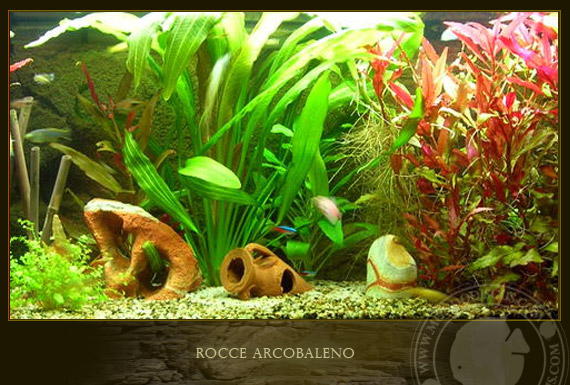 roccia arcobaleno