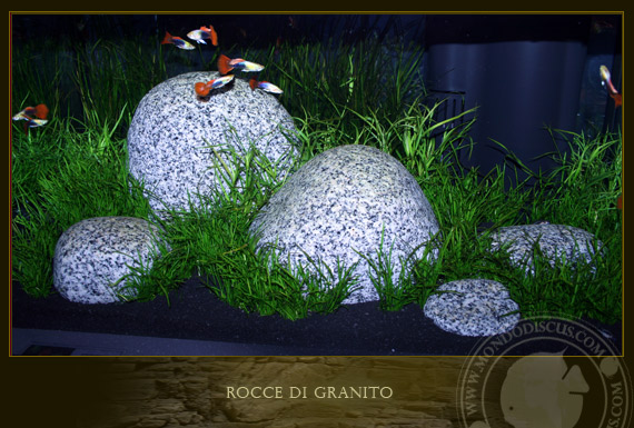 rocce di granito