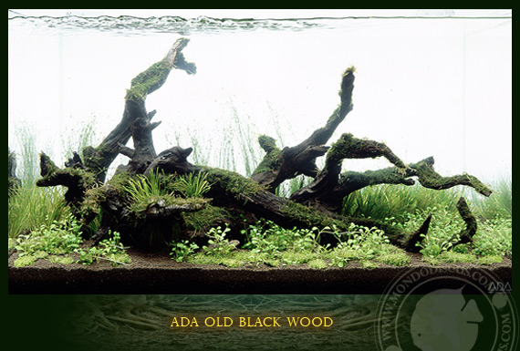 old black wood