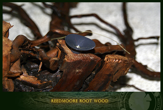 reedmoore root wood