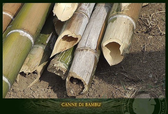 legno di bambu