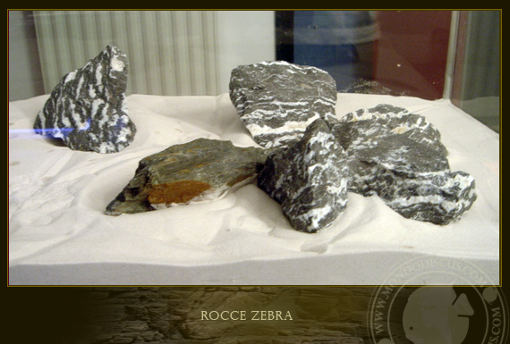 rocce zebra