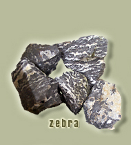 rocce zebra