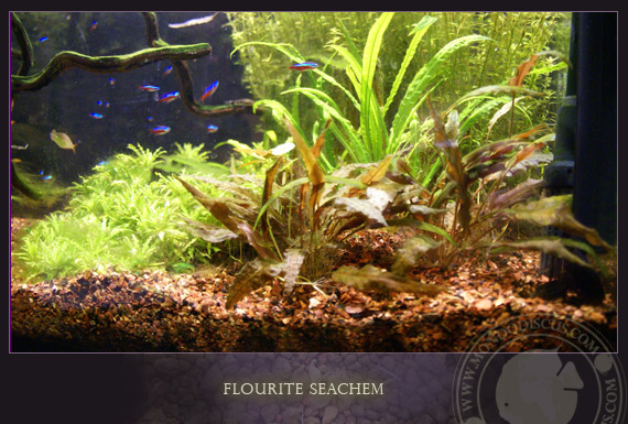 seachem flourite