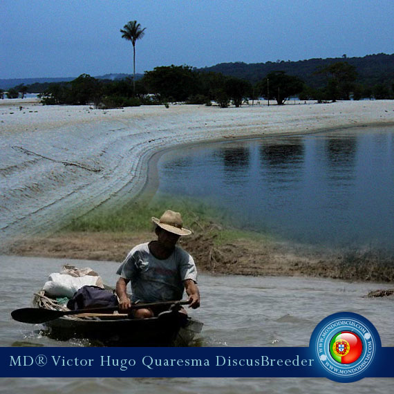 NEW: Vitor Hugo Quaresma su MondoDiscus