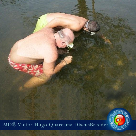 NEW: Vitor Hugo Quaresma su MondoDiscus