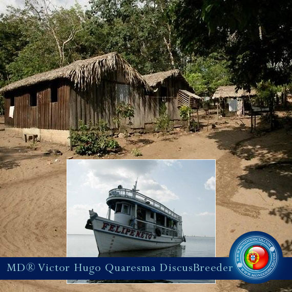 NEW: Vitor Hugo Quaresma su MondoDiscus