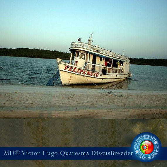 NEW: Vitor Hugo Quaresma su MondoDiscus