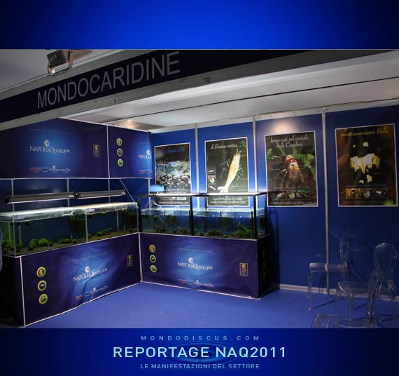 Lo stand di Mondocaridine