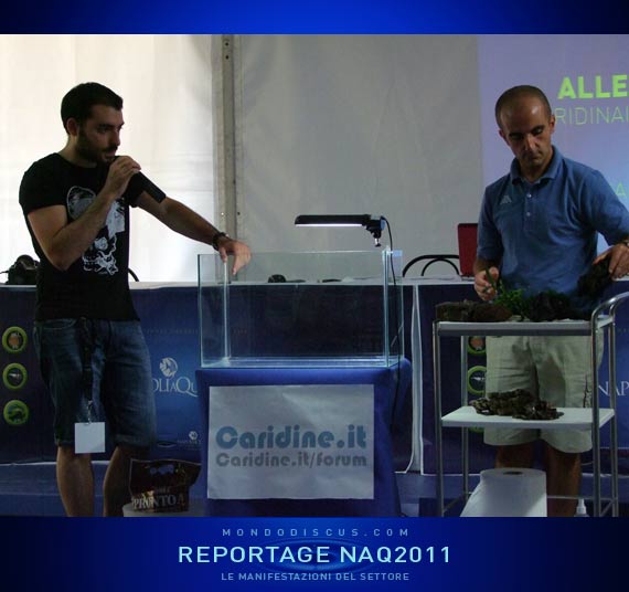 Giacomo Guarraci, Pasquale Buonpane