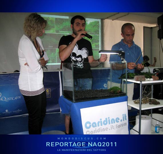 Livia Giovannoli, Giacomo guarraci, Pasquale Buonpane