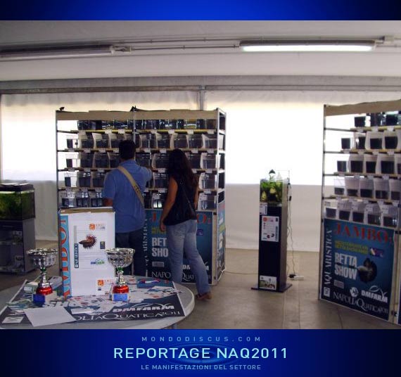 spazio espositivo del Betta Show