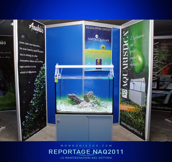 L'aquascaping di Giuseppe Landieri