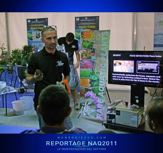 Massimo Iannella (Rap)