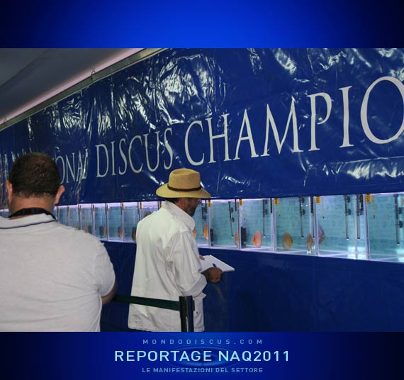 Heiko Bleher che giudica i pesci