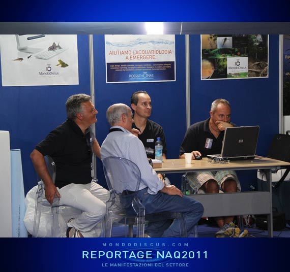 Antonio Gallo, Dalvatore de fAlco,Luigi f,Patrik 