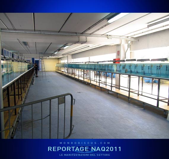 Discus championship in allestimento 