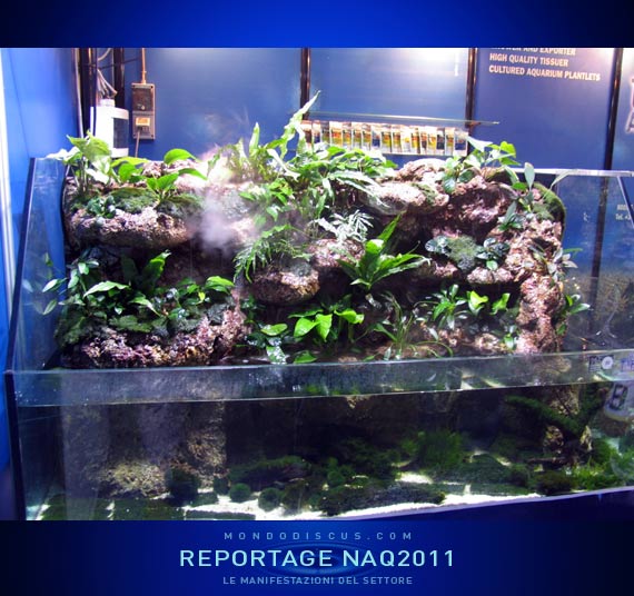 Il paludario di Carmine Mazzei TF plants