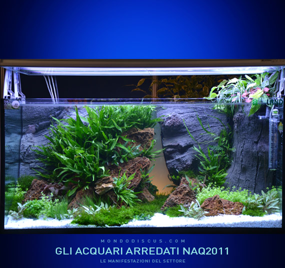 Vasca Aquaristica By Fabio Lorusso